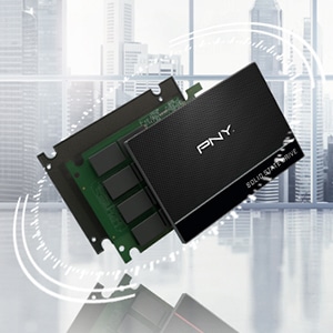 ssd pny qualité