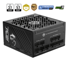 MSI MPG A850GS PCIE5 850W 80PLUS Gold  Setup Game
